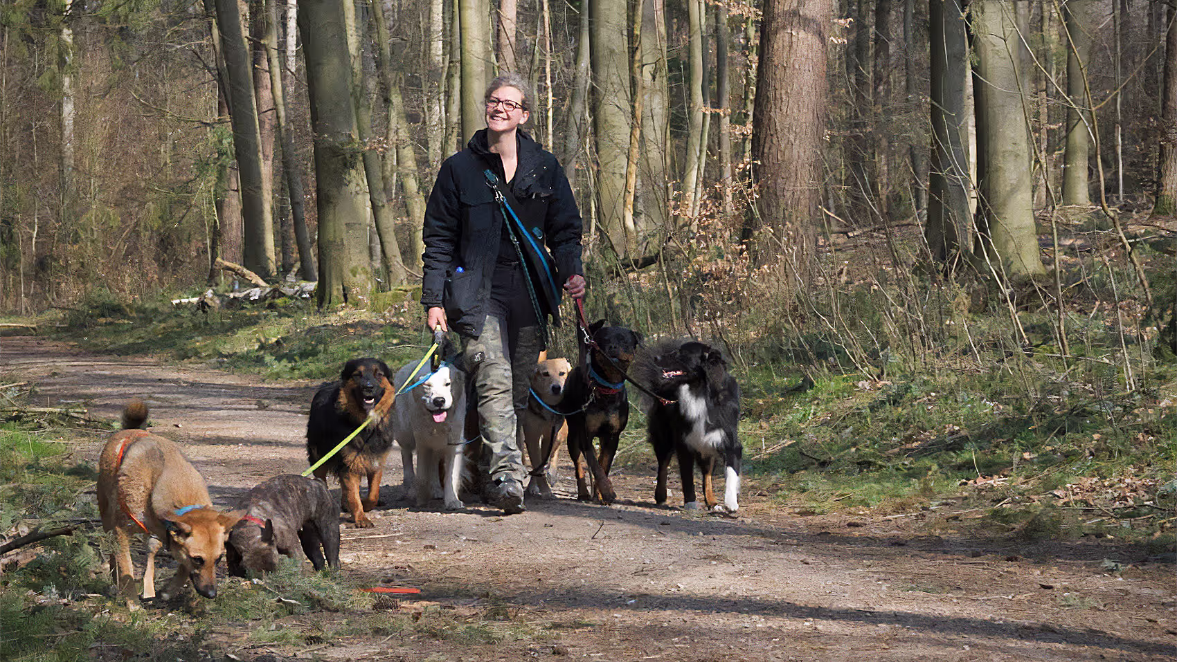 Dogwalking im Wald